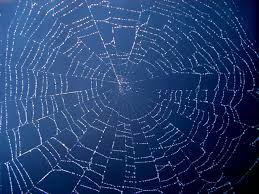 spiderweb-in-blue